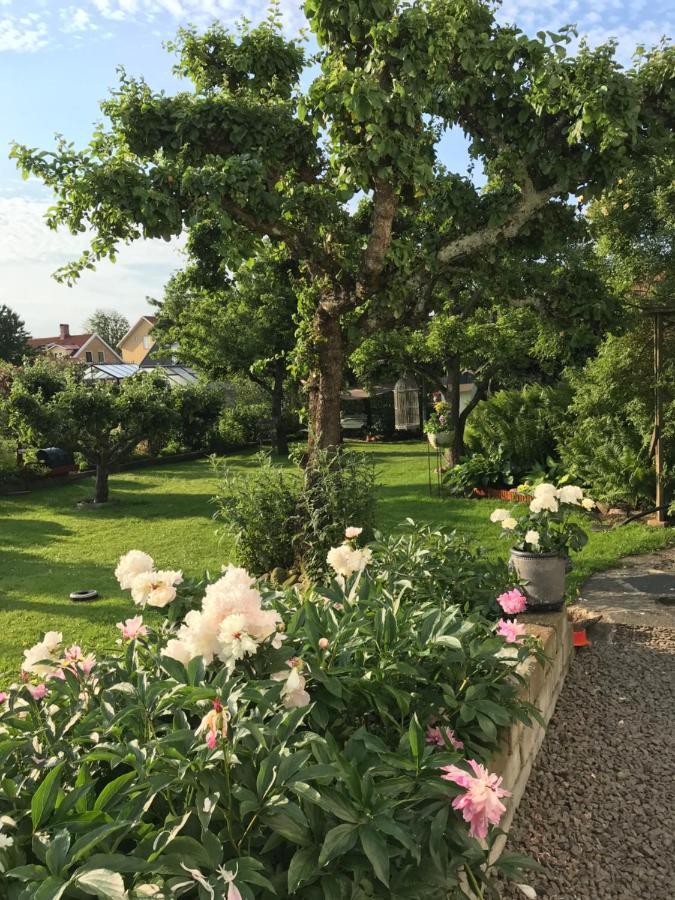 B&B Bland Ormbunkar Och Rosor Falkenberg Kültér fotó