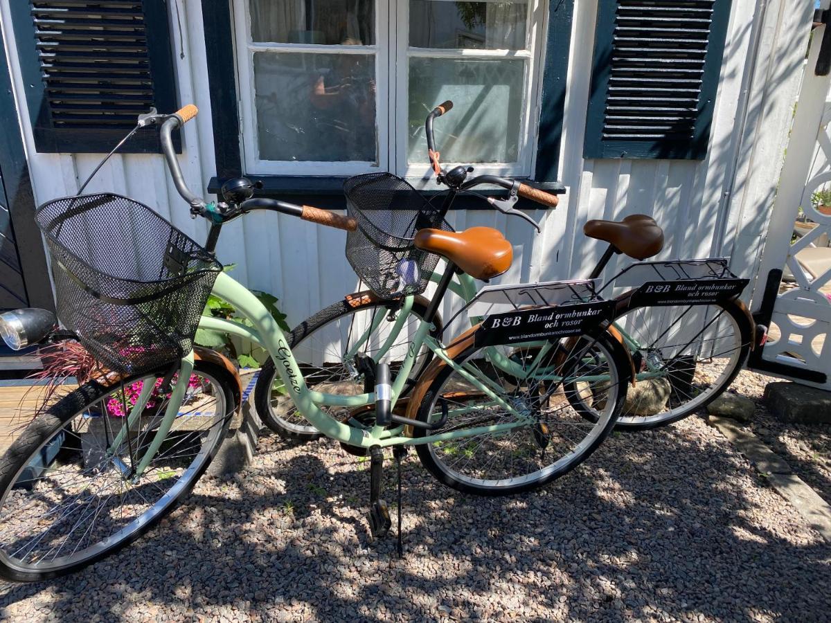 B&B Bland Ormbunkar Och Rosor Falkenberg Kültér fotó