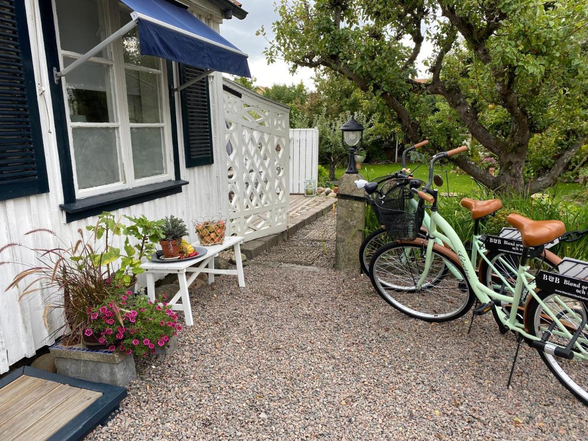 B&B Bland Ormbunkar Och Rosor Falkenberg Kültér fotó